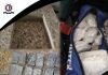 Drugs bust: Eight arrested