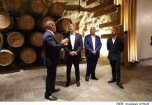 Investment of over €5.8 million in Marnisi Wine Estate continues to strengthen a quality Maltese product